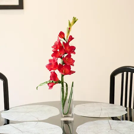 아파트 Aligrama *